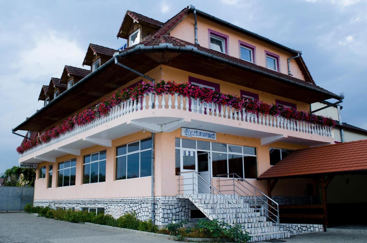 Motel Dracula Şelimbăr エクステリア 写真