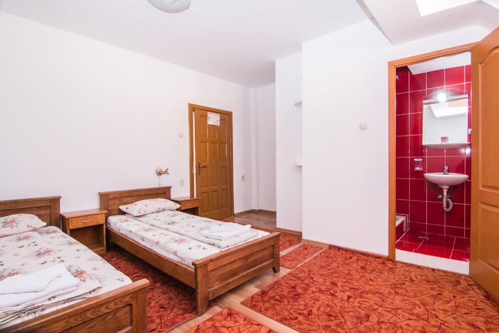 Motel Dracula Şelimbăr エクステリア 写真